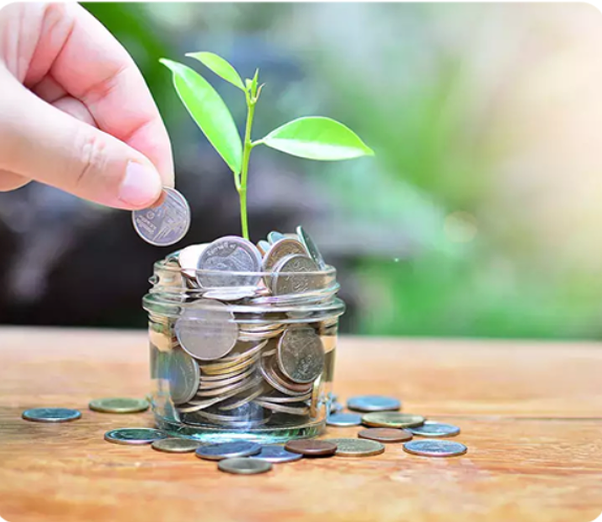 Plant growing from coins